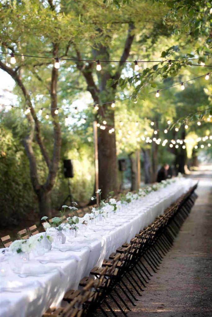 A reception table set up under light and green foliage