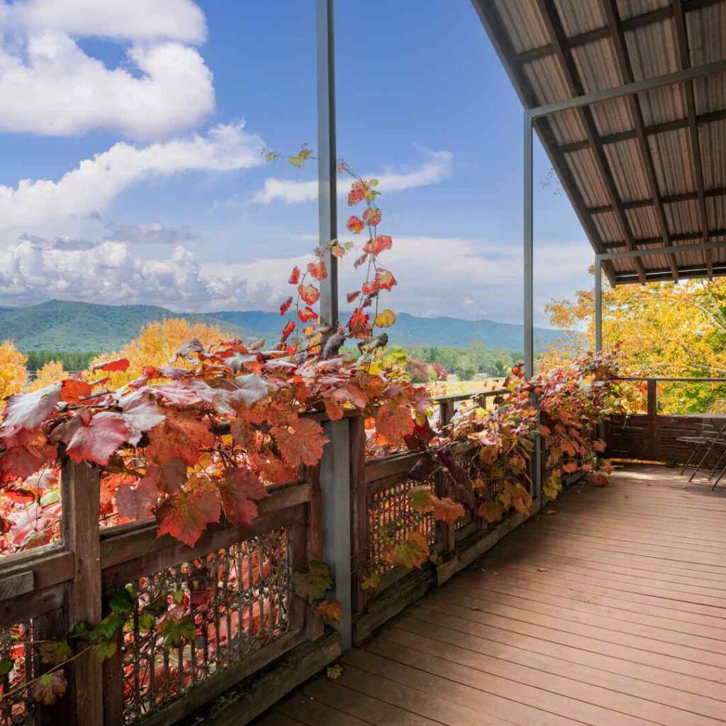 Balcony overlooking hills with Autumn leaves